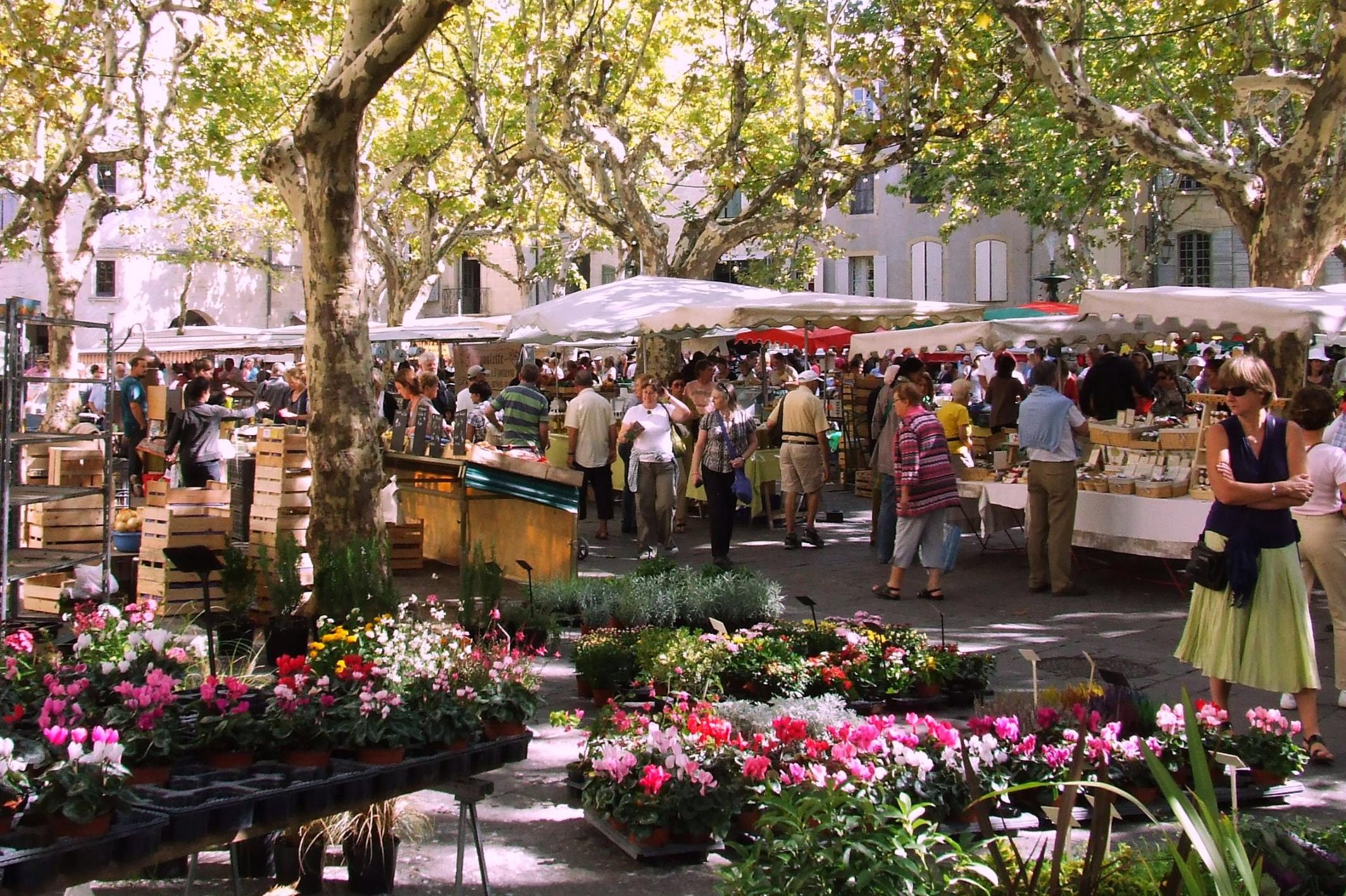 Marché d'Uzès - Patrimoine - l'Ostal